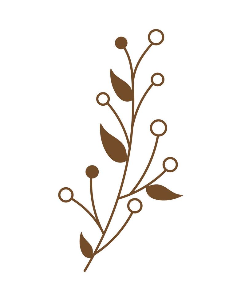 leaves and seeds in branch vector