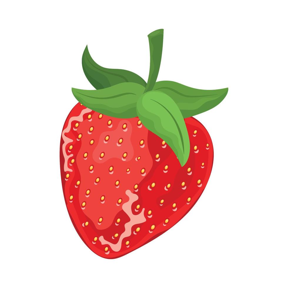 strawberry fresh fruit vector