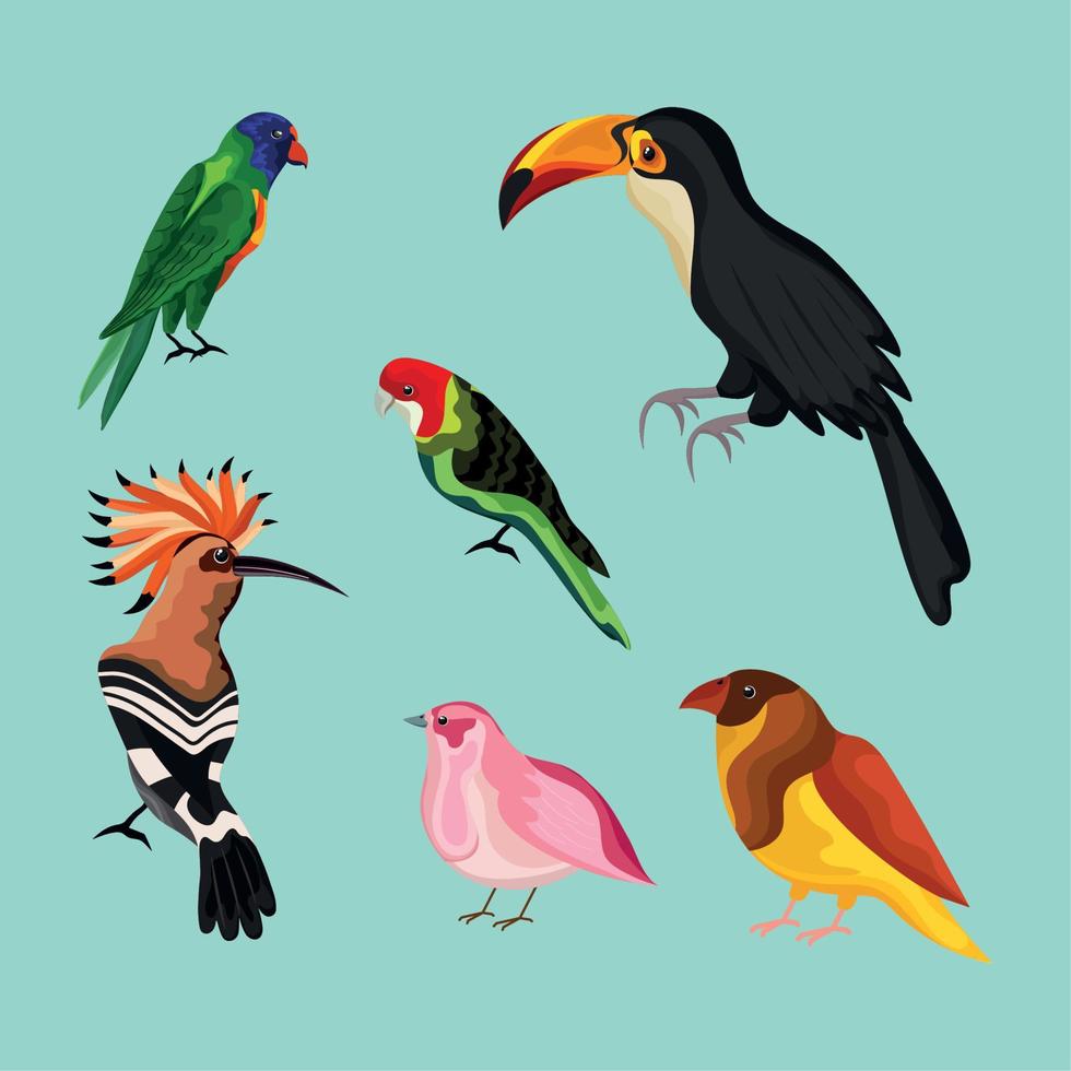 grupo de aves exóticas vector