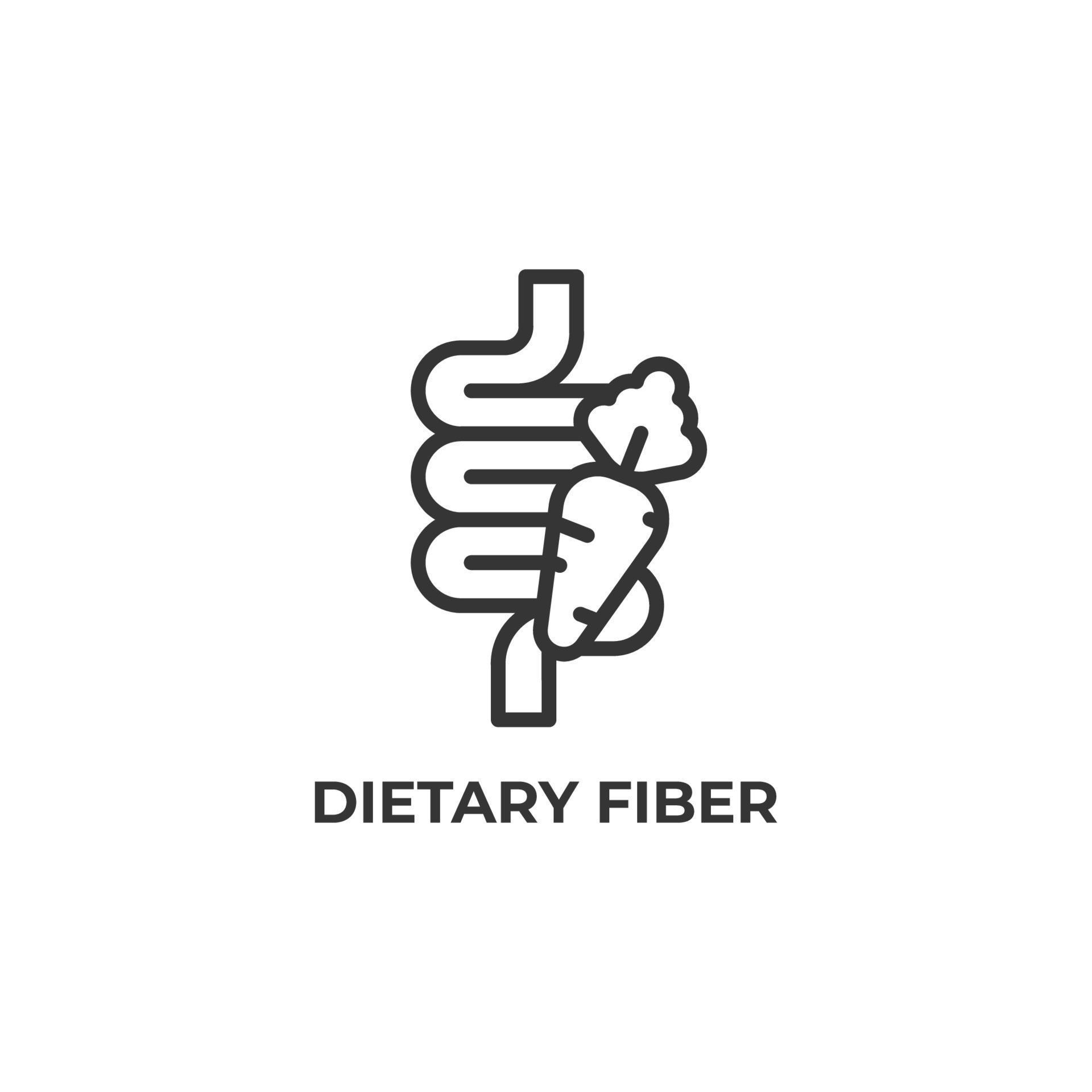 Vector sign of dietary fiber symbol is isolated on a white background