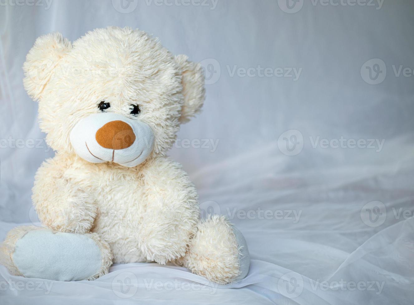 Teddy bear sits in bed photo