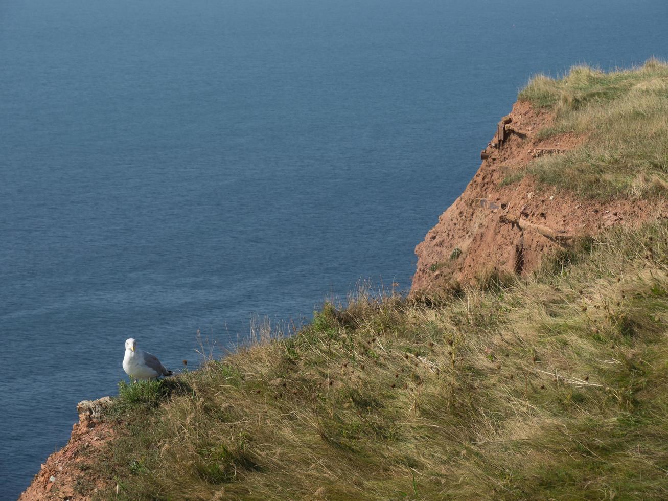 the island of Helgoland photo