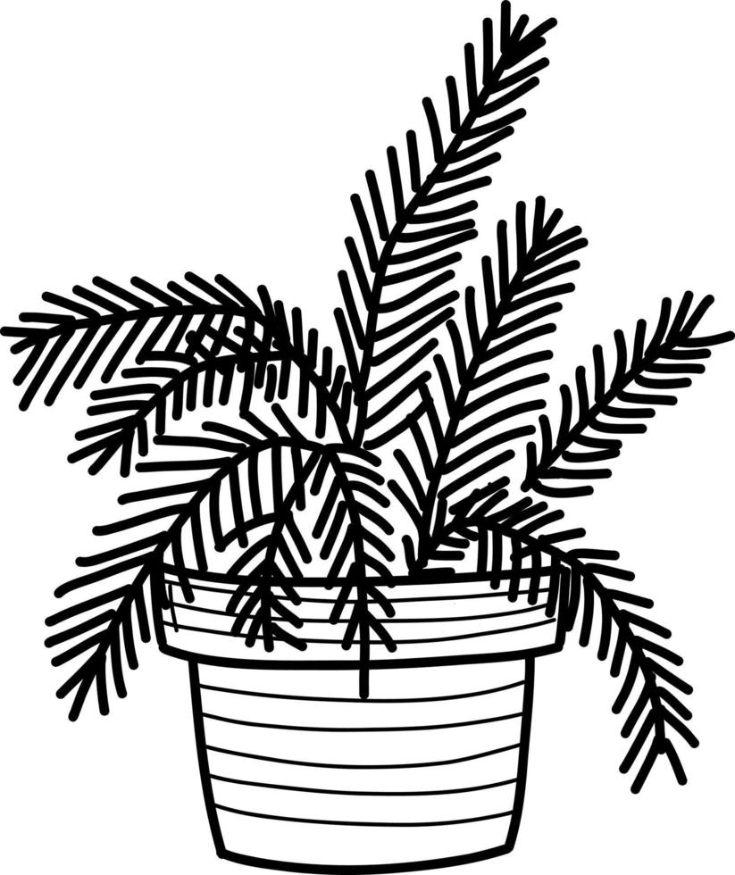 home plants in pot. sketch in doodle style vector