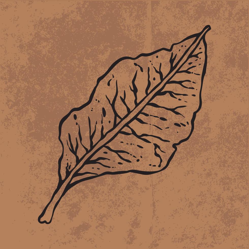 Botanical leaf doodle wildflower line art. Hand drawn vector illustration. Vintage floral outline. Suitable for wallpaper, posters, stickers, content social media