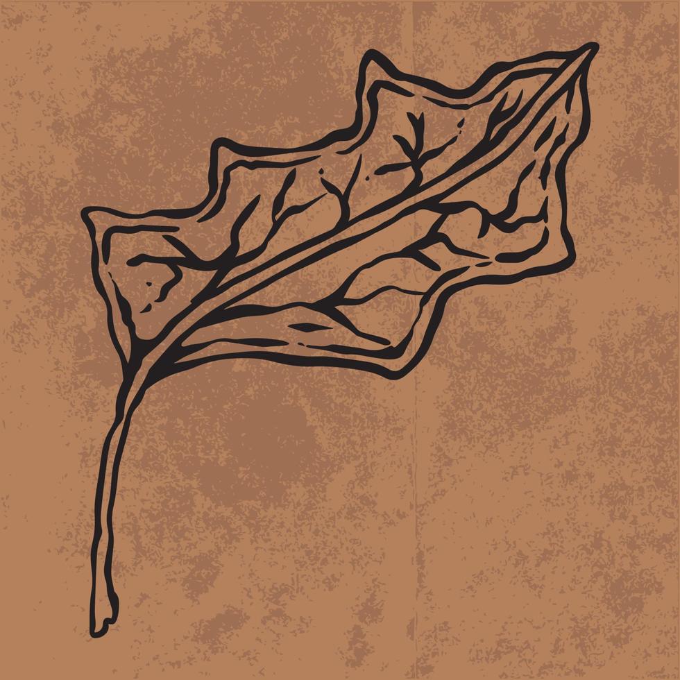 arte de línea de flores silvestres de doodle de hoja botánica. ilustración vectorial dibujada a mano. esquema floral de la vendimia. adecuado para papel tapiz, afiches, pegatinas, contenido de redes sociales vector