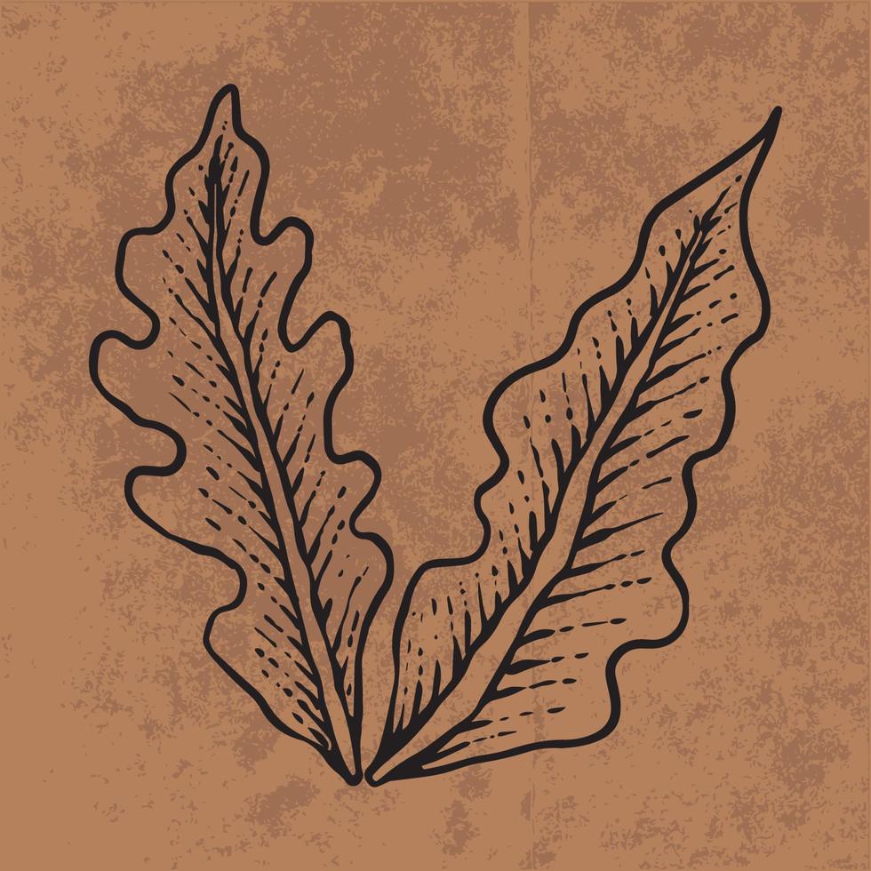 Botanical leaf doodle wildflower line art. Hand drawn vector illustration. Vintage floral outline. Suitable for wallpaper, poster, sticker, content social media