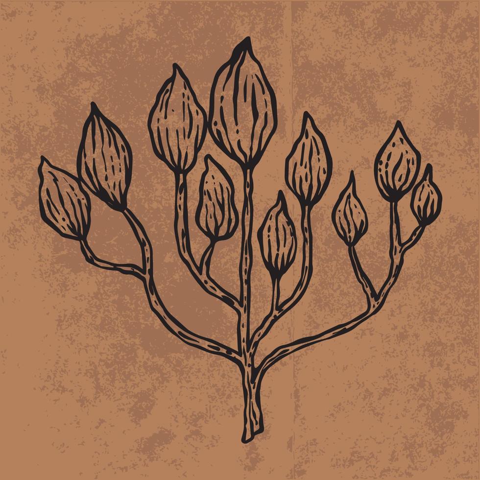 arte de línea de flores silvestres de doodle de hoja botánica. ilustración vectorial dibujada a mano. esquema floral de la vendimia. adecuado para papel tapiz, afiches, pegatinas, contenido de redes sociales vector