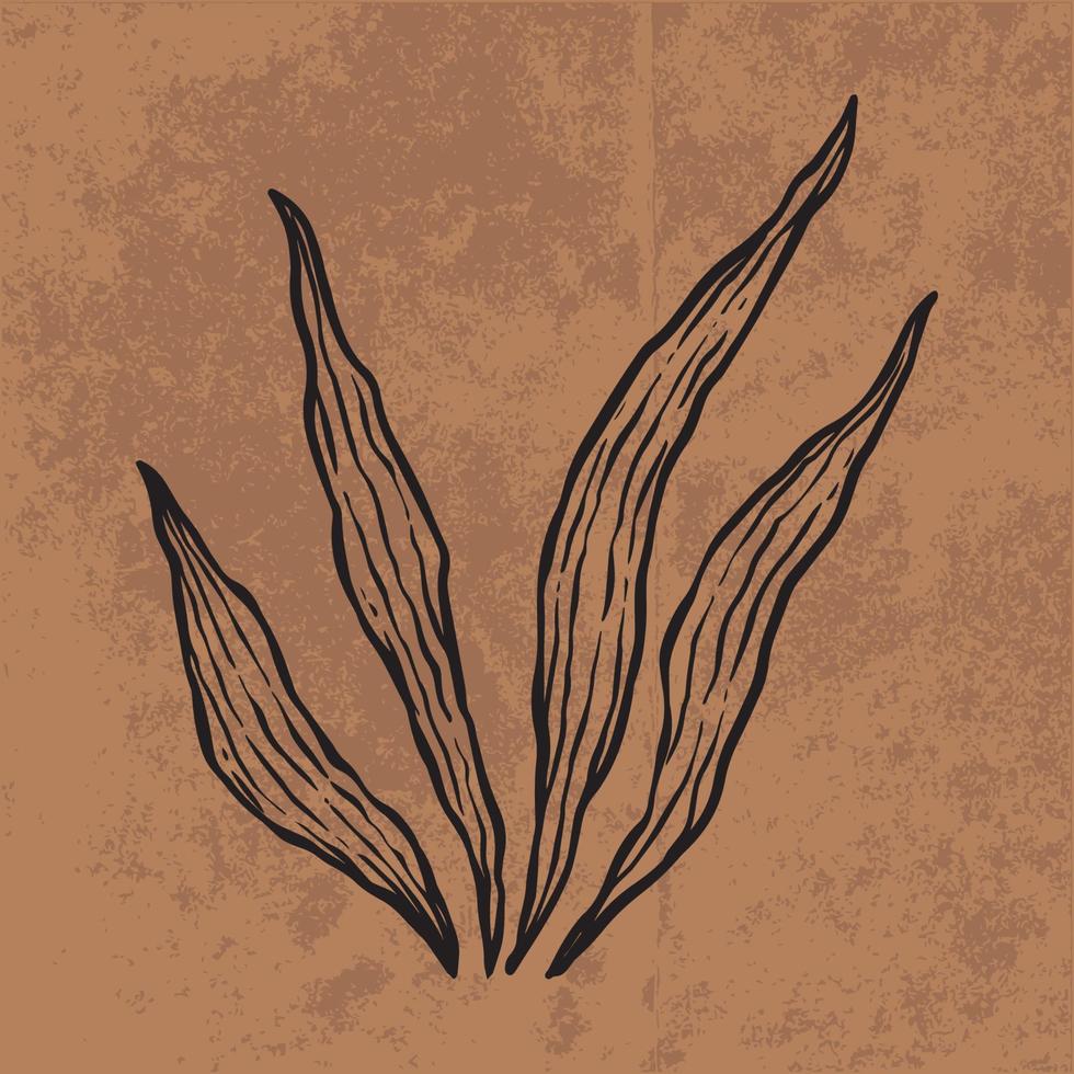 Botanical leaf doodle wildflower line art. Hand drawn vector illustration. Vintage floral outline. Suitable for wallpaper, poster, sticker, content social media