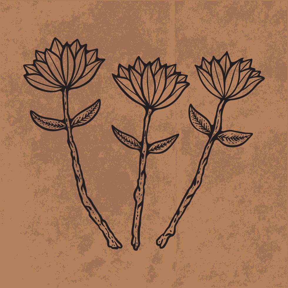 arte de línea de flores silvestres de doodle de hoja botánica. ilustración vectorial dibujada a mano. esquema floral de la vendimia. adecuado para papel tapiz, afiche, pegatina, contenido en redes sociales vector