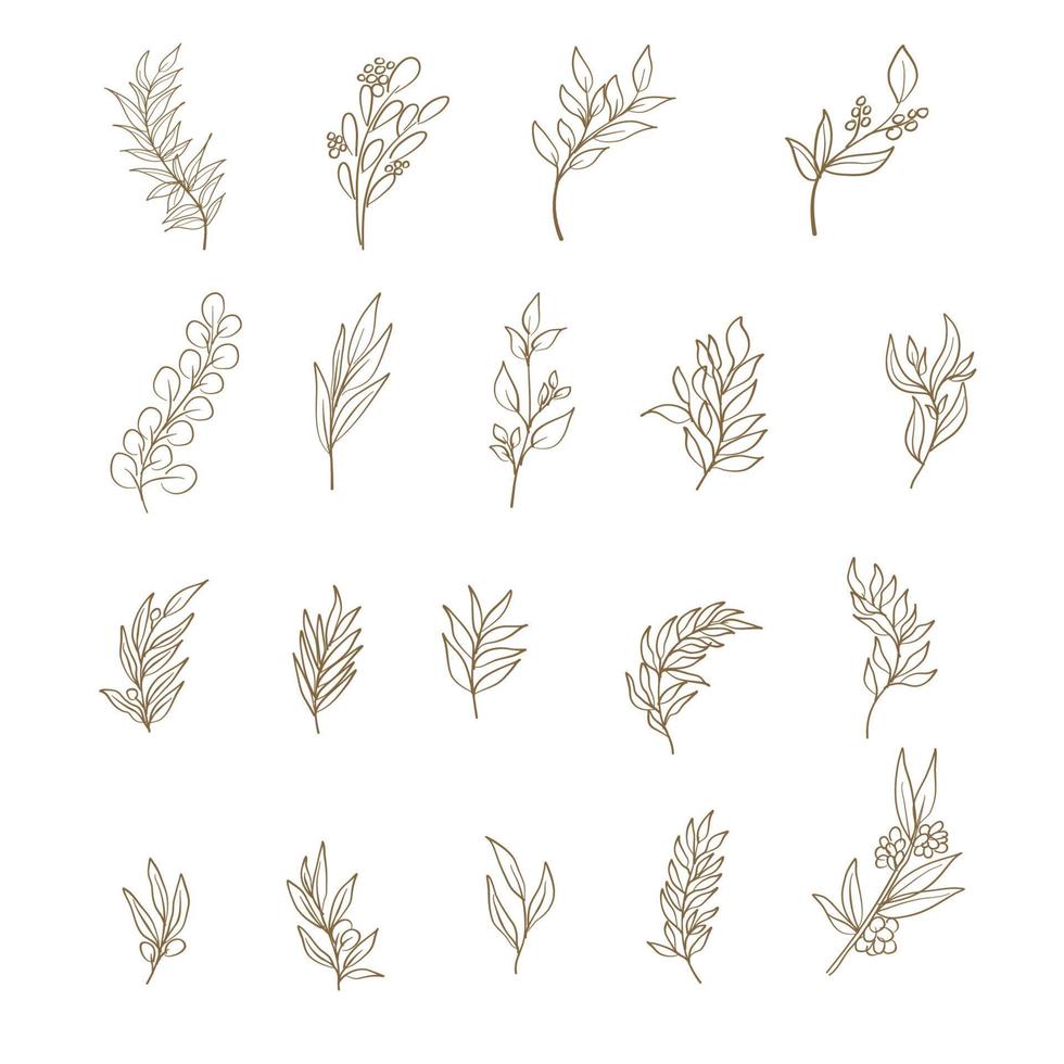 Leaves line art set collection vector