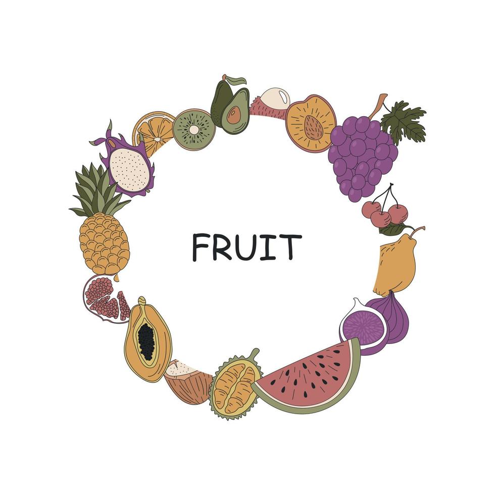 Fruta. frutas tropicales en forma de círculo. mangostán, papaya, pitaya, piña y otros. vector