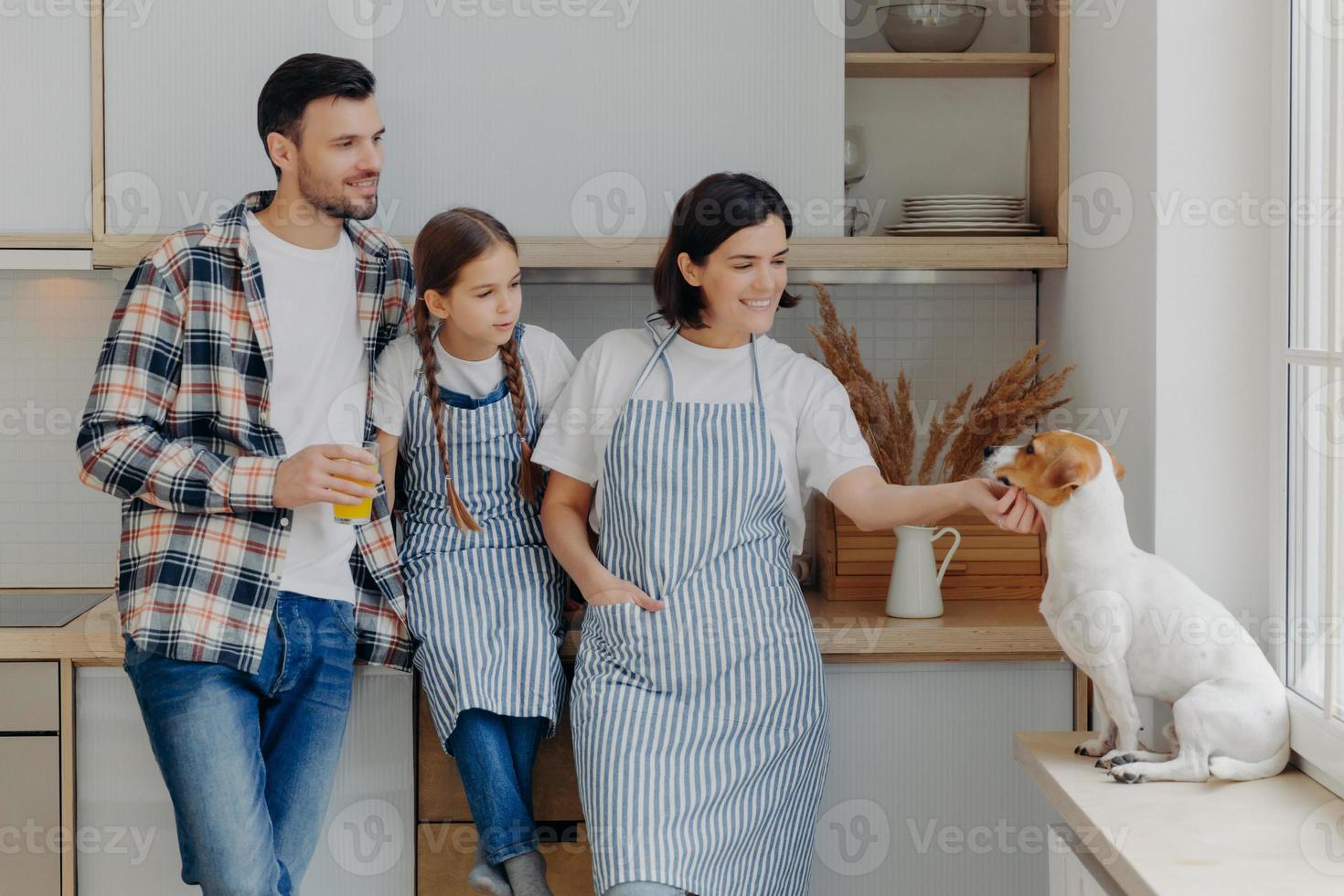Friendly positive family members stand together at kitchen, play with dog, mother and daughter wear aprons, father drinks fresh juice, enjoy domestic atmosphere. People, relationship, home concept photo