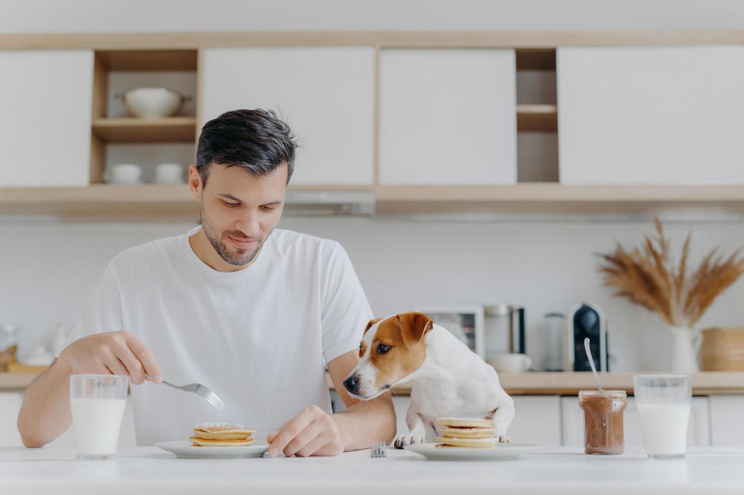 concepto de personas, alimentos, bebidas y mascotas. una foto horizontal de un joven guapo come deliciosos panqueques dulces, su perro pedigrí mira con tentación, pasa el fin de semana en casa, posa contra el interior de la cocina.