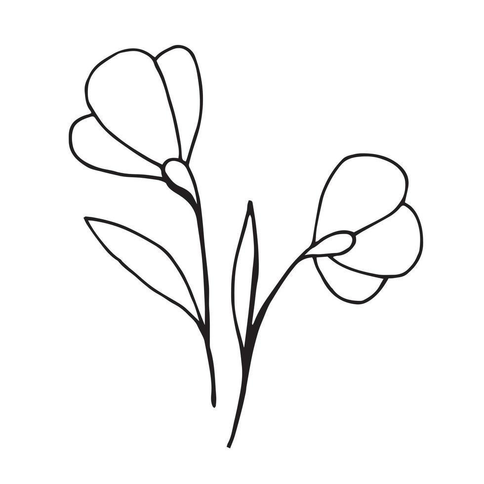 ilustración de garabato simple. dibujo de flores de una línea. icono primavera, floración y jardinería. vector