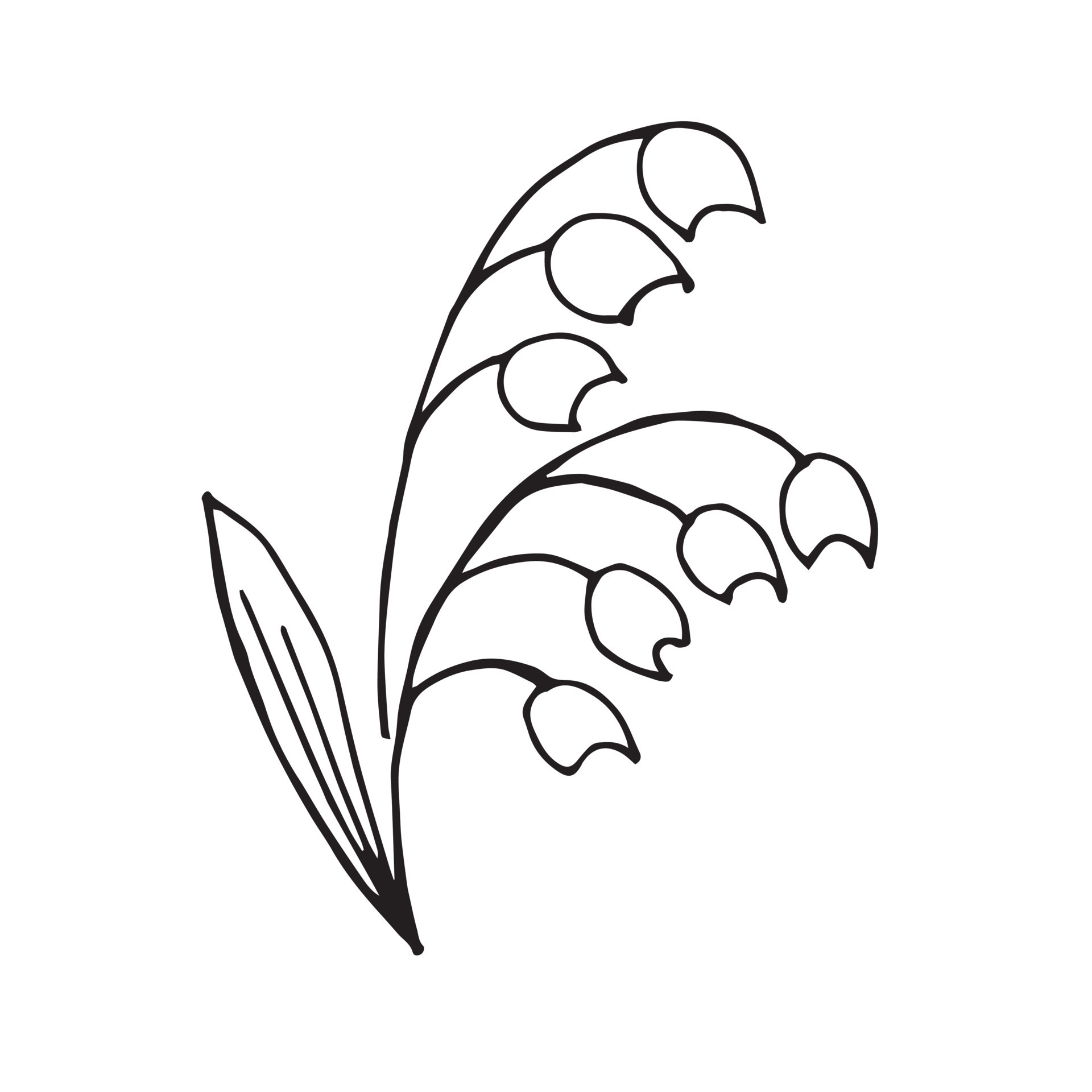 Simple doodle drawing in hand style. stylized drawing of lilies of the