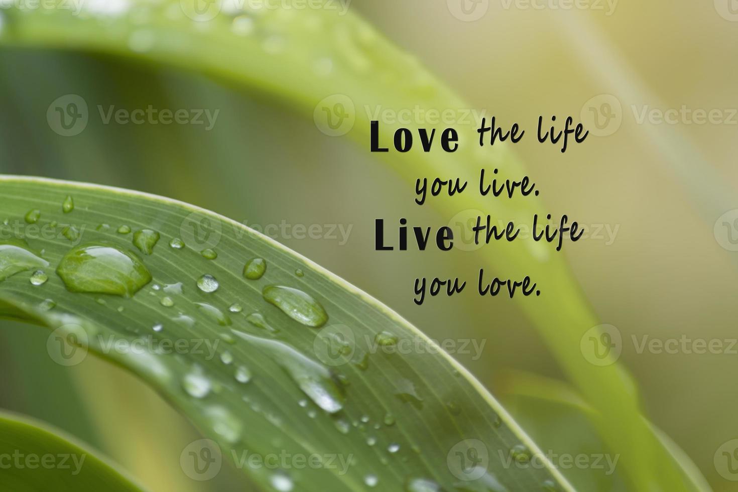 Motivational quote with fresh nature and blurred green leaf background. photo