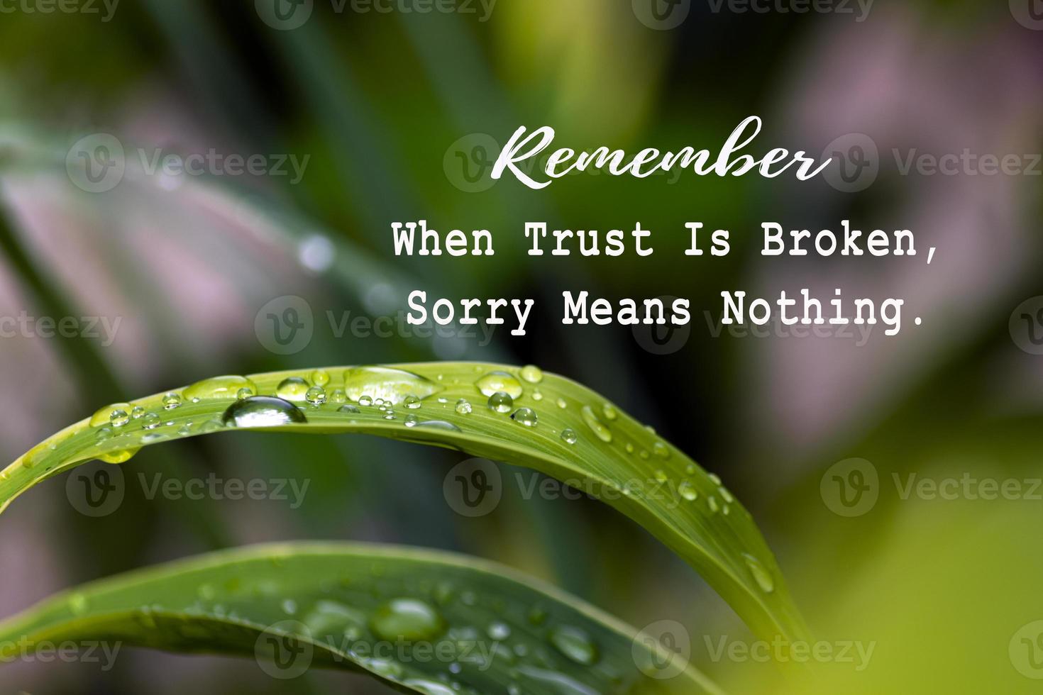 Motivational and inspirational quote on image with green leaf with raindrops photo