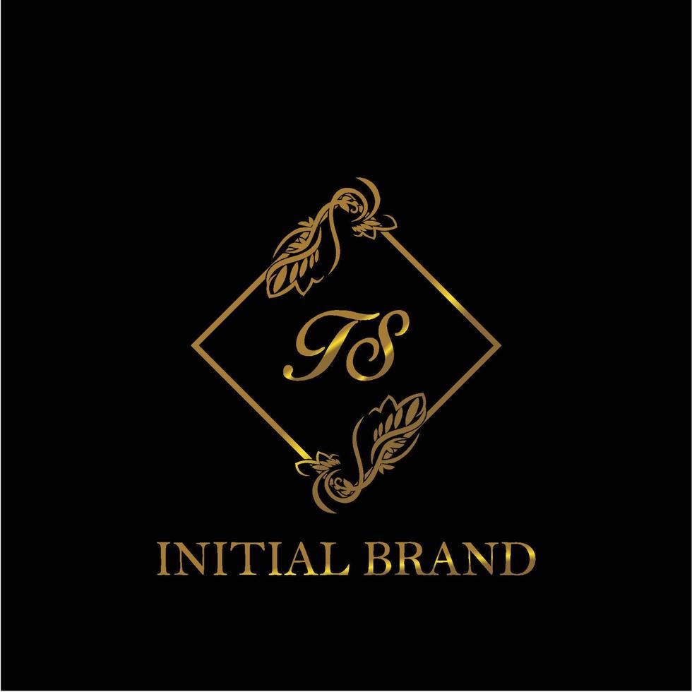 initial TS handwritten luxury letter template vector