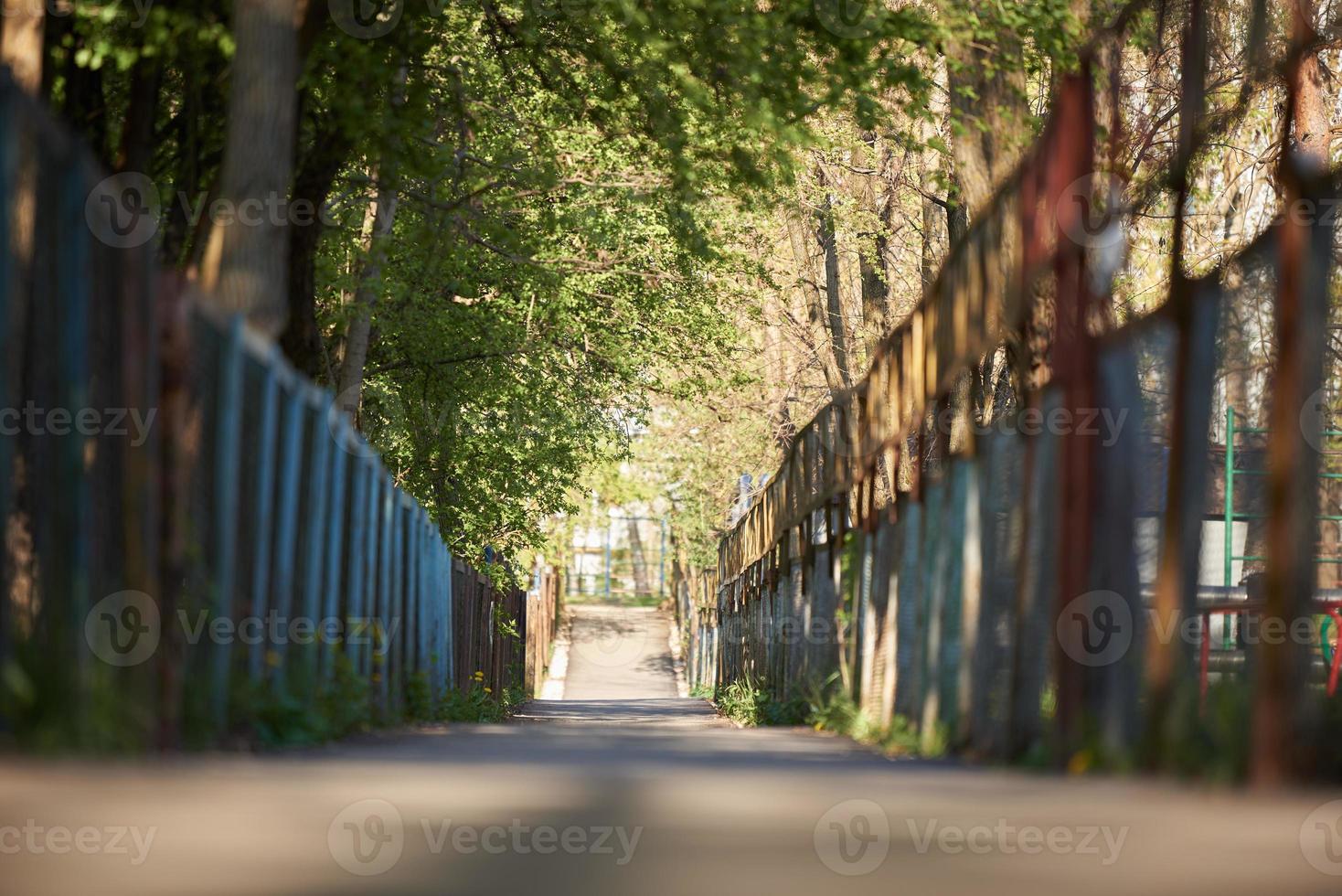 The path between the fences goes into the distance. A sunny day in the park. Foreground and background in blur. photo