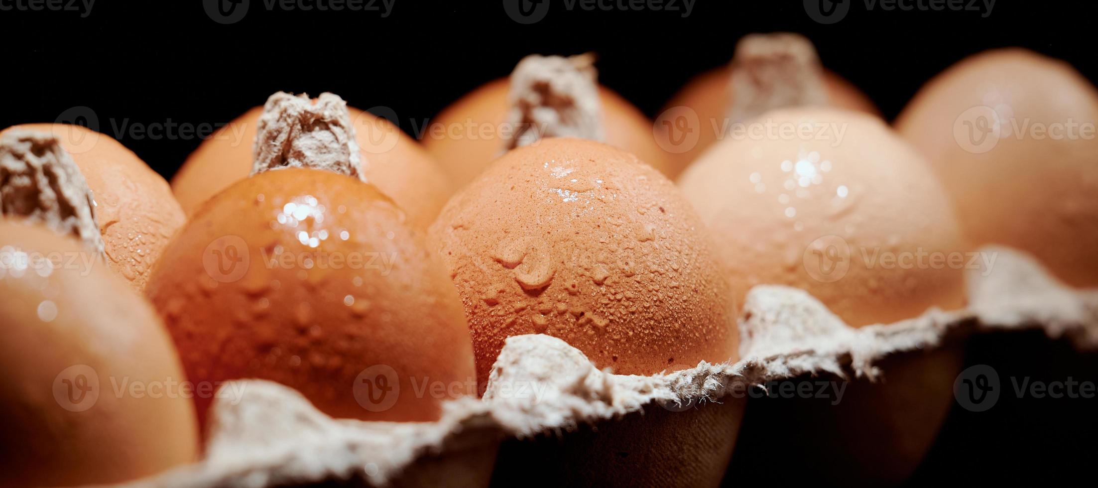 Wet eggs close up in egg protective container on black background. Foreground and background in blur. Focus in the center. photo