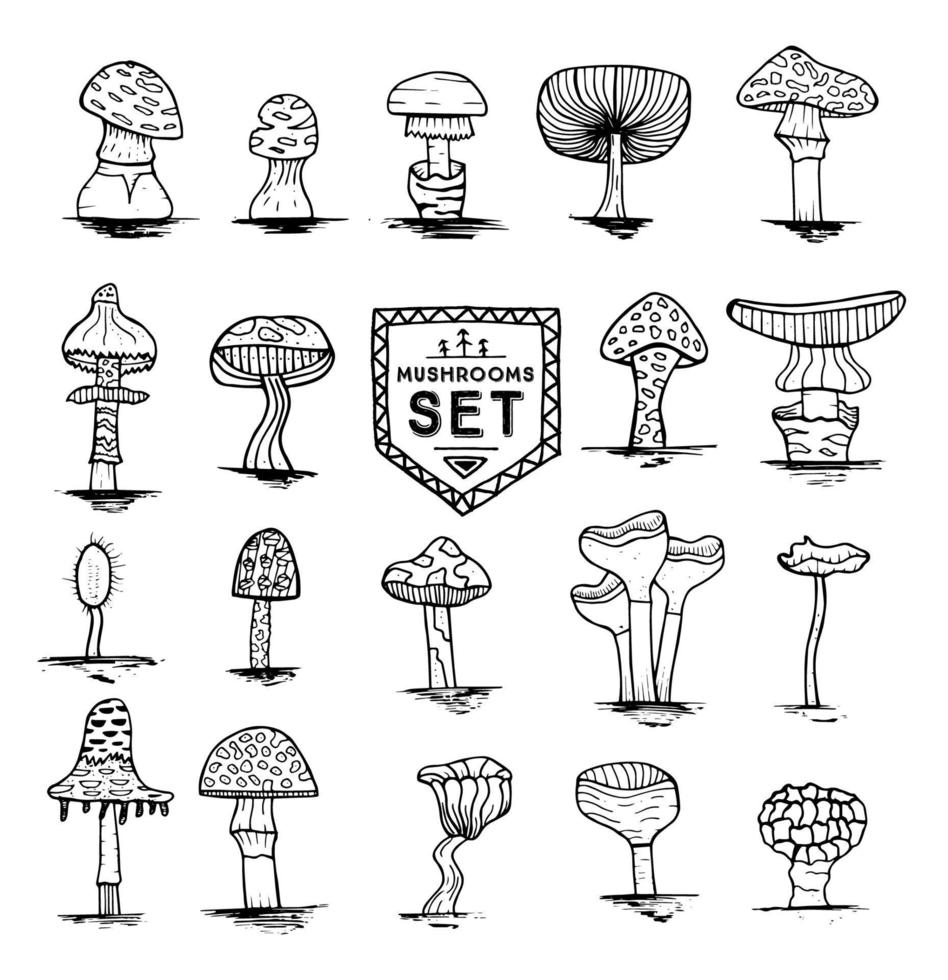 Hand drawn mushrooms set isolated on white background. vector