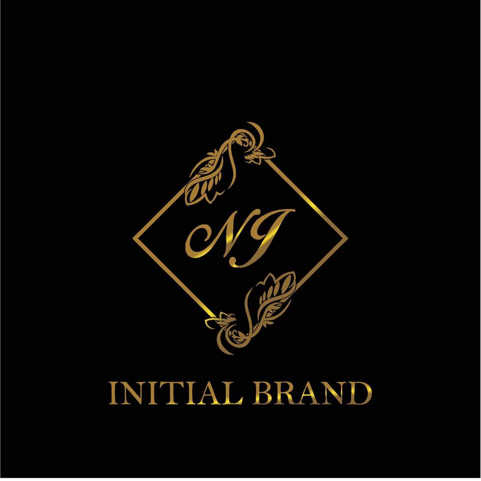 initial NJ handwritten luxury letter template vector