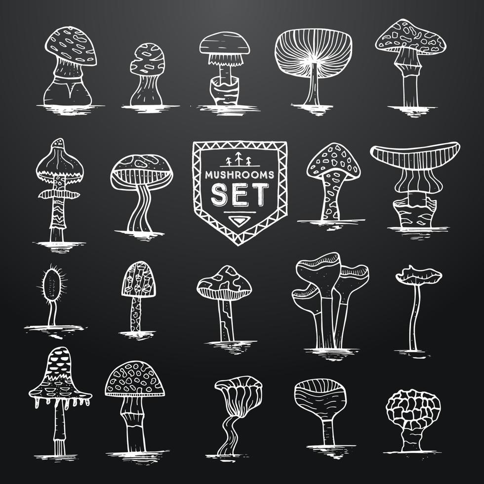 Hand drawn mushrooms set on black chalkboard with wooden texture. vector