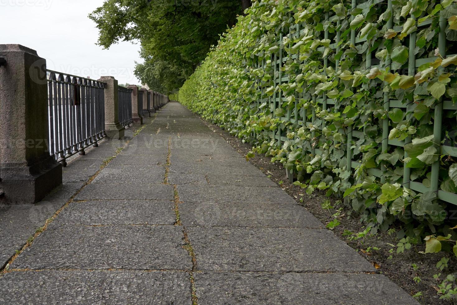 An empty promenade on the river Bank. Ban on visiting public places due to threat of coronavirus. photo