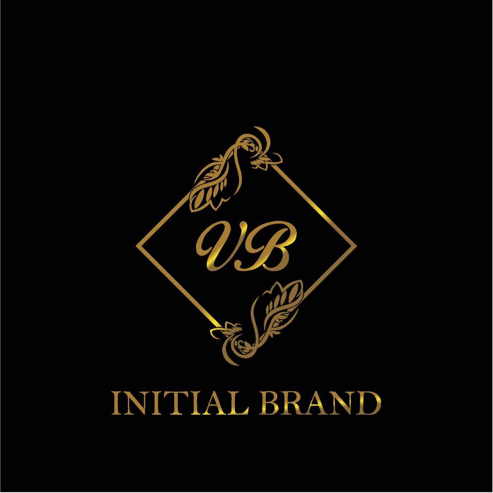 initial VB handwritten luxury letter template vector