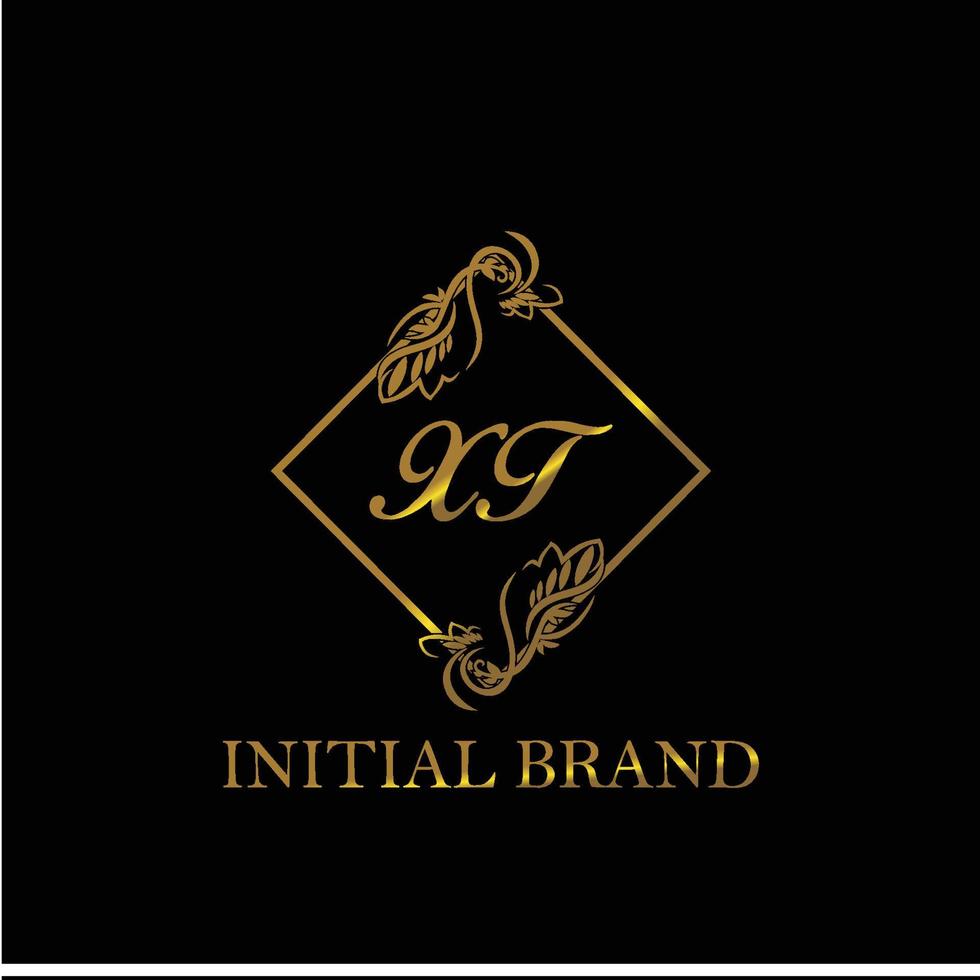 initial XT handwritten luxury letter template vector