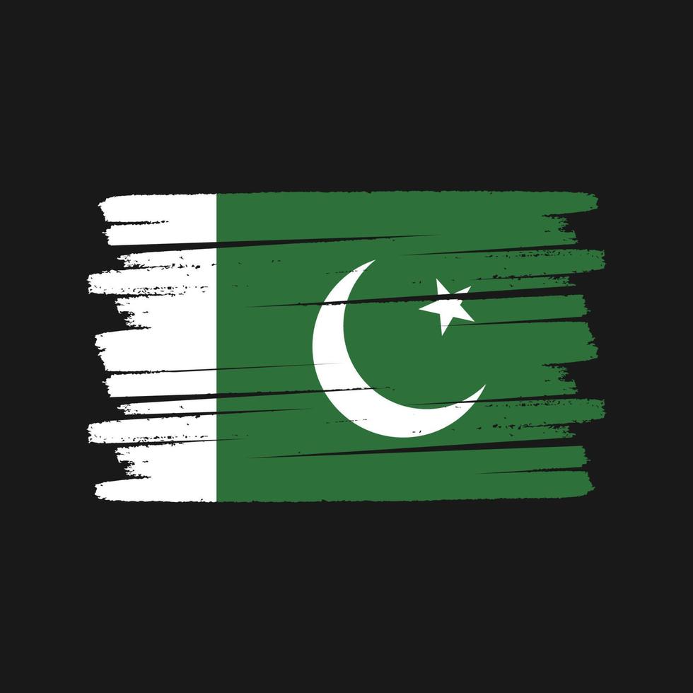 cepillo de bandera de pakistán. bandera nacional vector