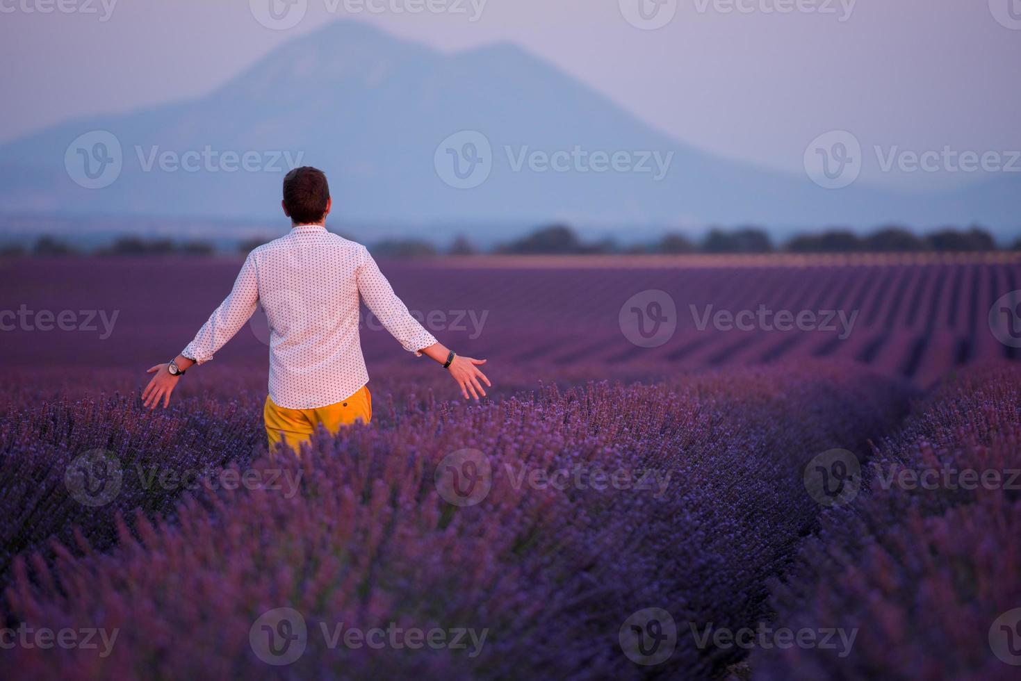 man in lavender flower field photo