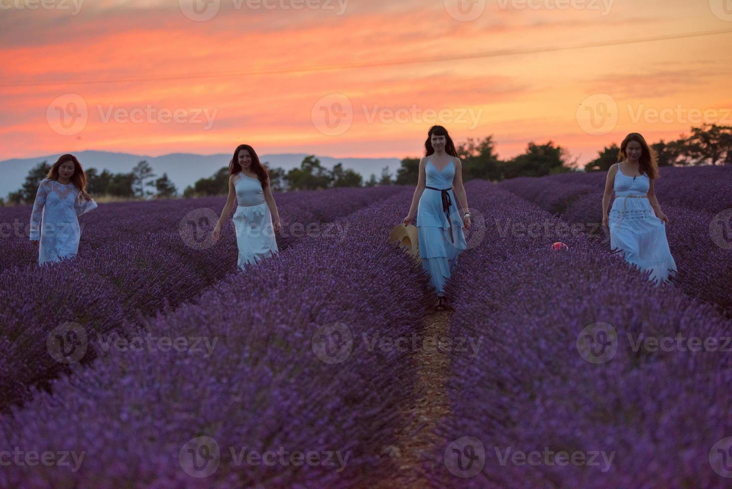 grupo de famales se divierten en el campo de flores de lavanda foto