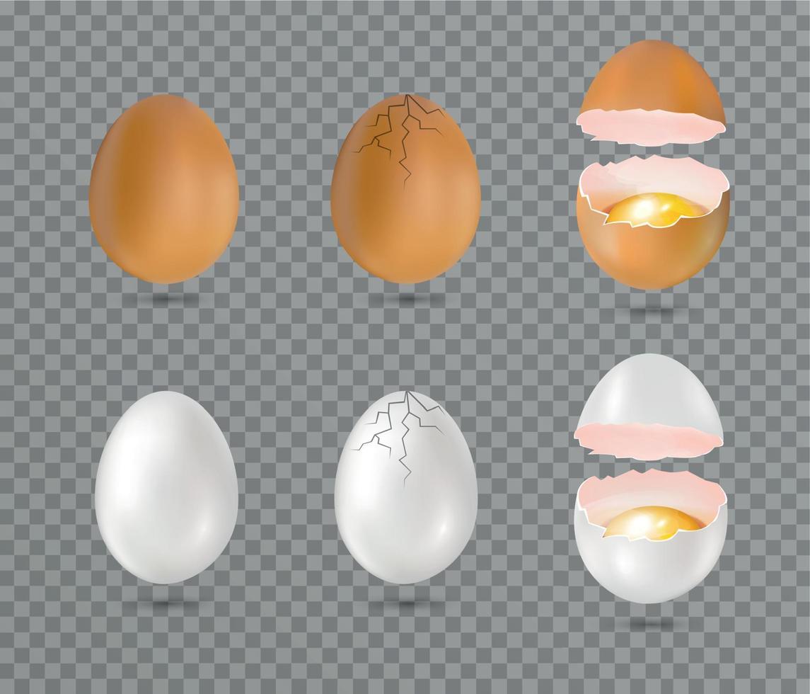 Broken Eggs Set vector