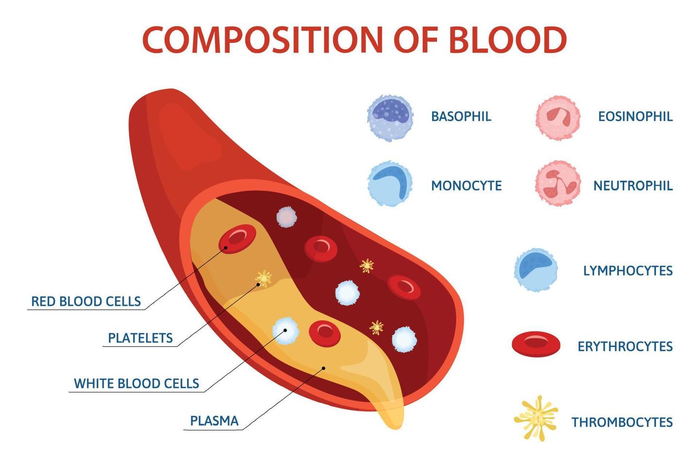 infografías planas de composición sanguínea vector