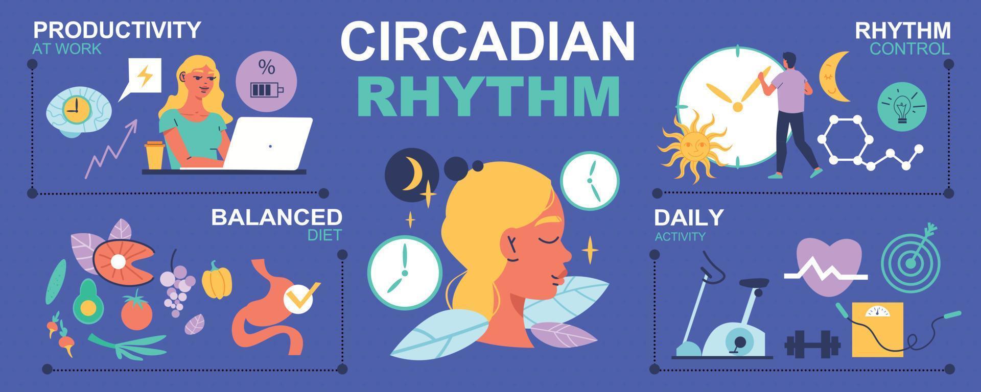 Circadian Rhythm Infographics vector