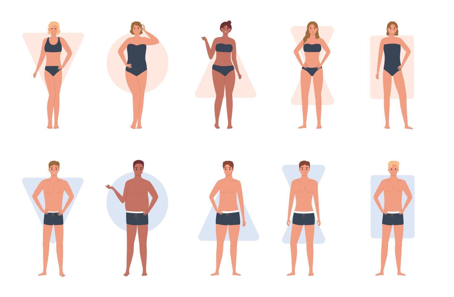 Body Types Flat Set vector