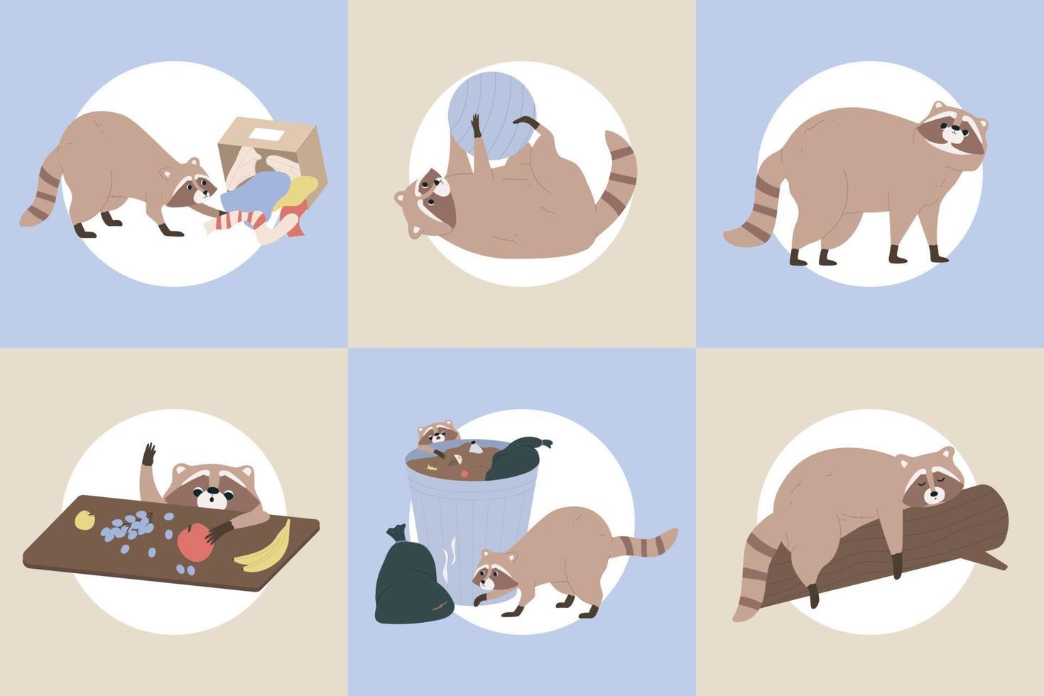 Racoon Flat Set vector