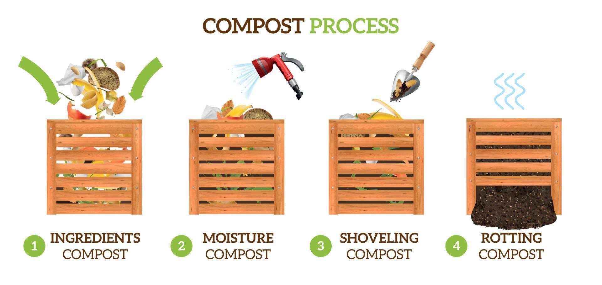 Infografía realista del proceso de compost. vector