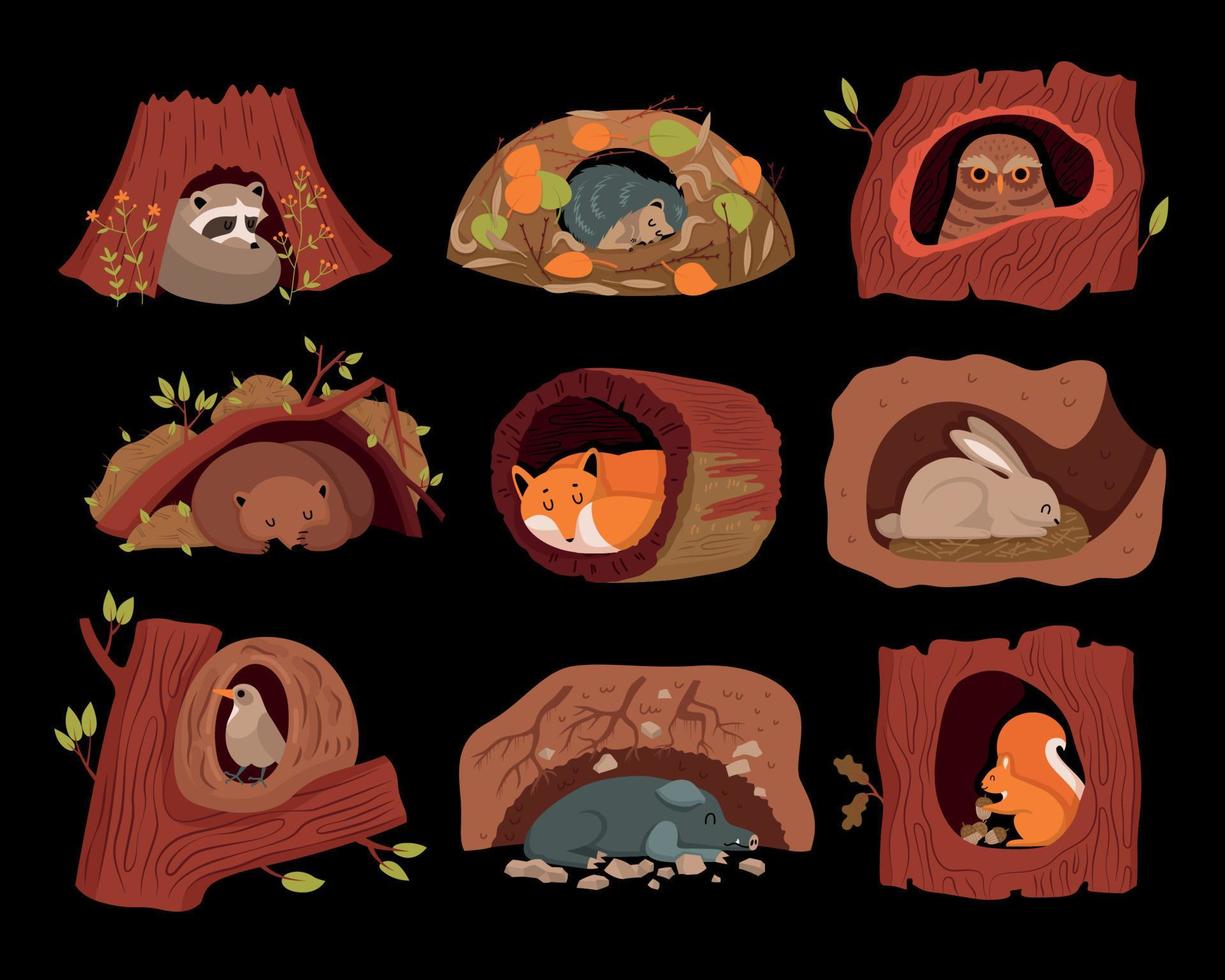 Forest Animals In Tree Hollows Background vector