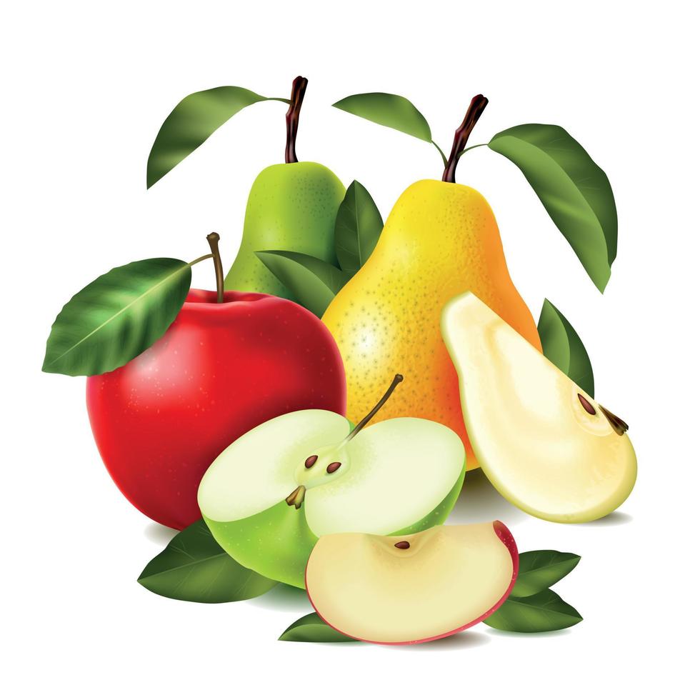 composición de manzana pera realista coloreada vector