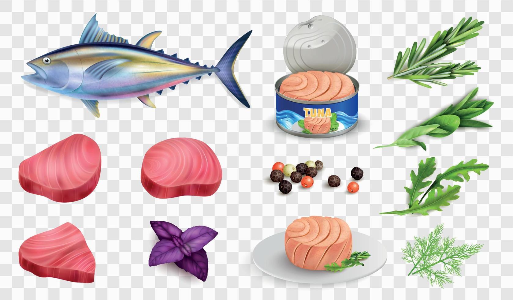 Realistic Tuna Icon Set vector