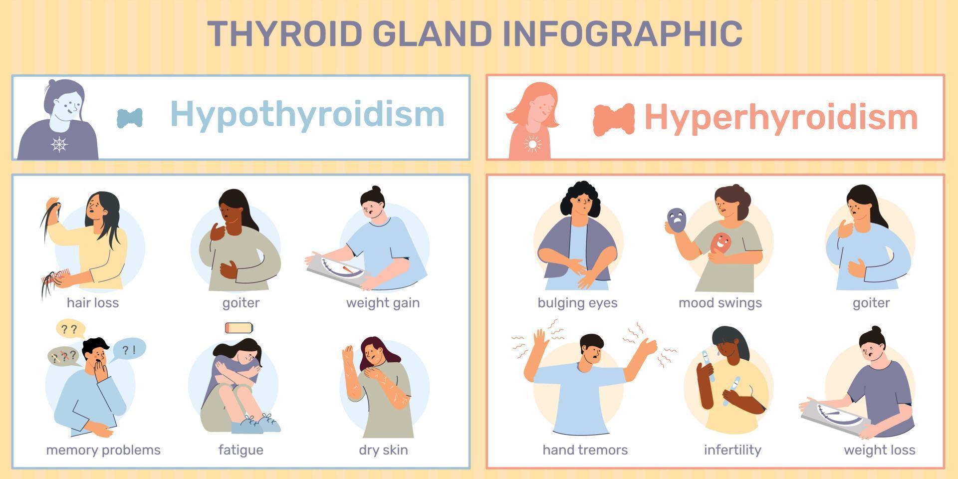 infografía de la glándula tiroides humana vector