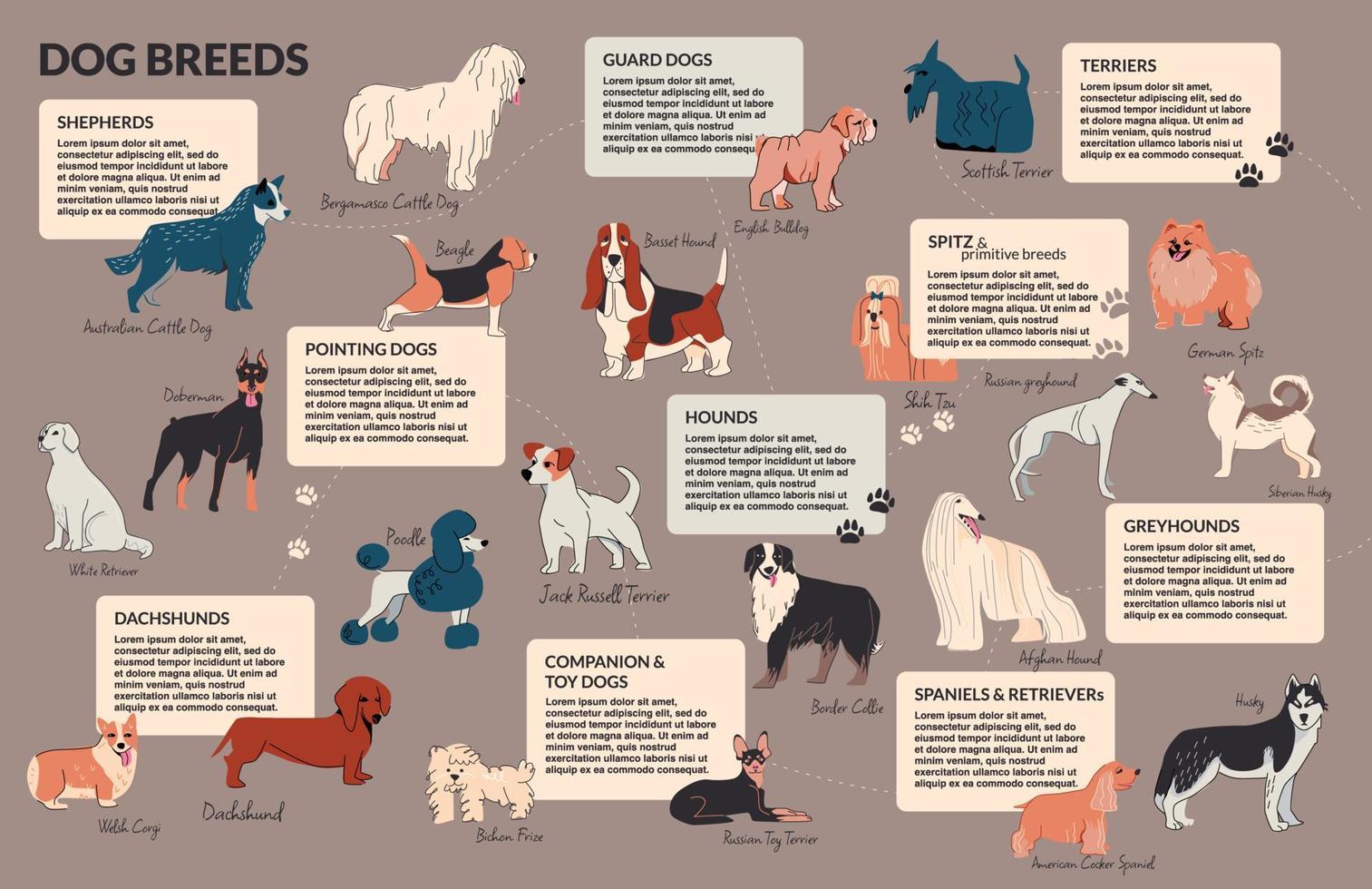 infografías de doodle de razas de perros vector