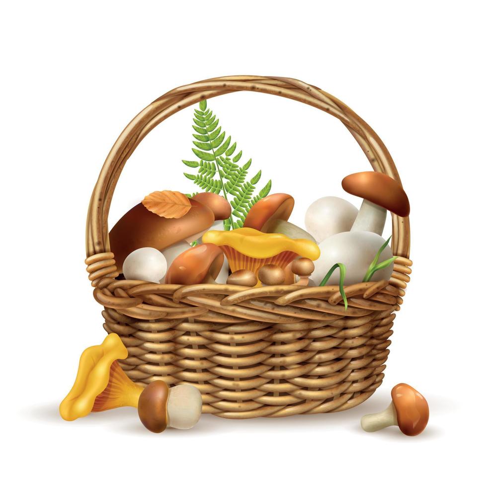 Mushrooms Basket Realistic Concept vector