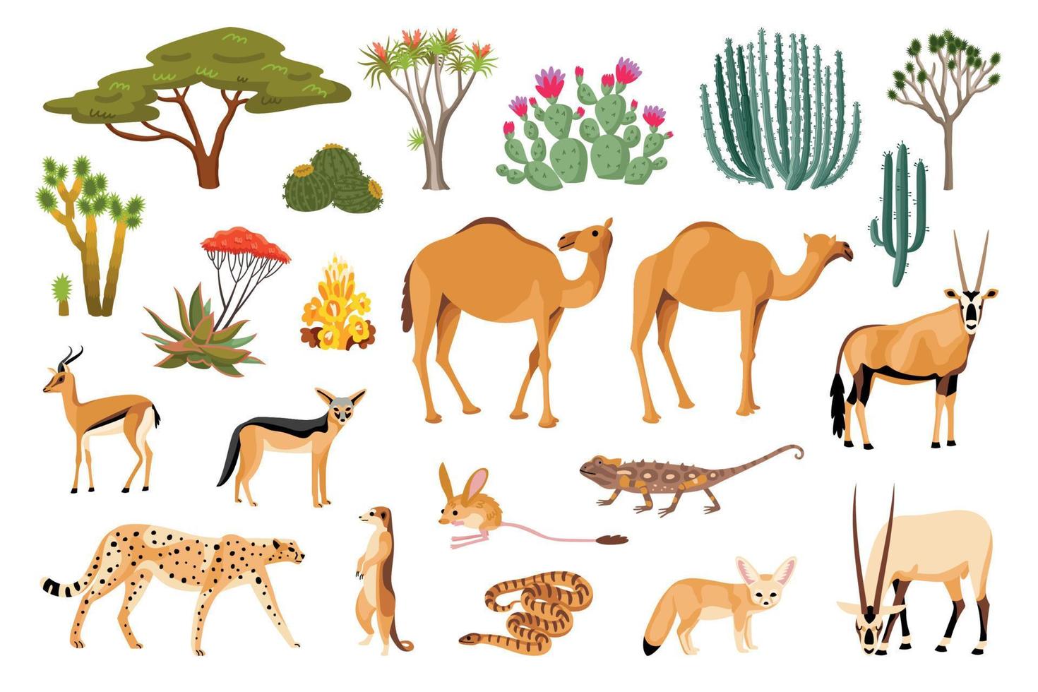 Desert Flora And Fauna Cartoon Set vector