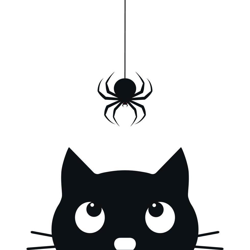 Illustration of a black cat looking at a hanging spider vector