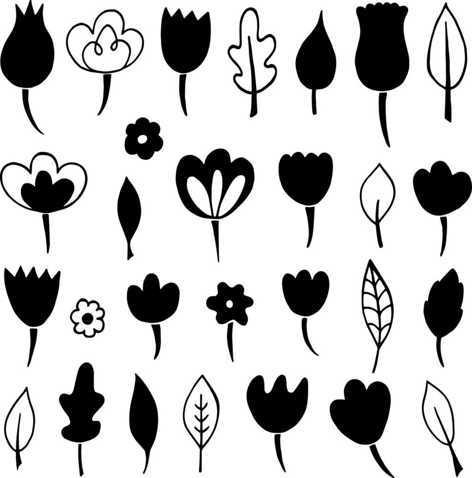 Collection of doodle flowers and leaves vector