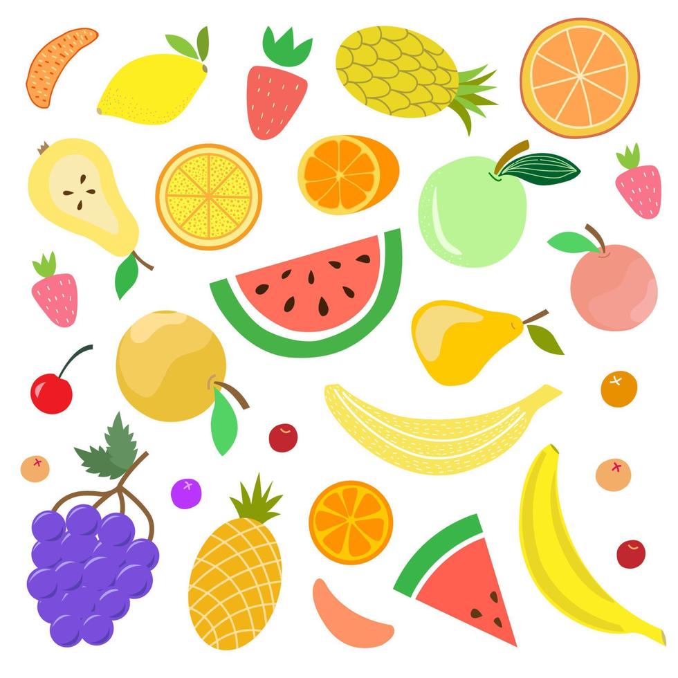 Set of juicy summer fruits vector