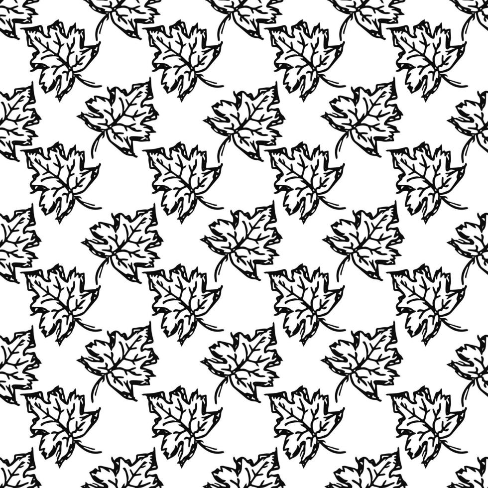 Black and white autumn pattern. Seamless autumn leaves pattern. autumn maple leaves vector